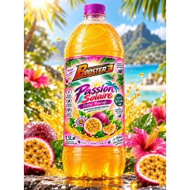 Passion Solaire